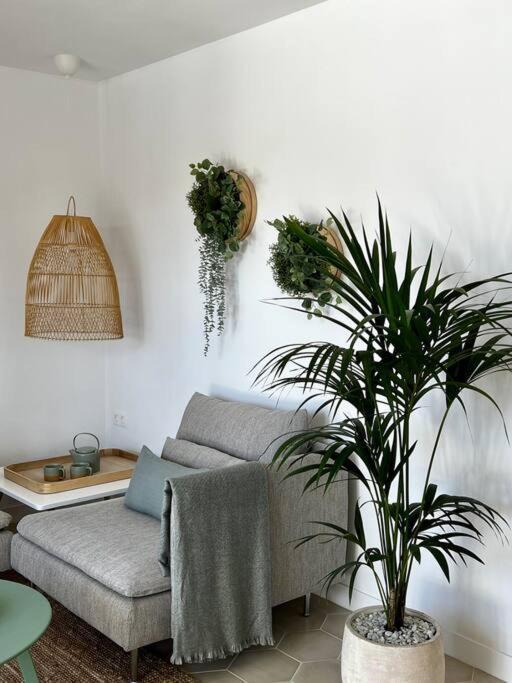 Lovely Casita Jade プラヤ・ブランカ エクステリア 写真