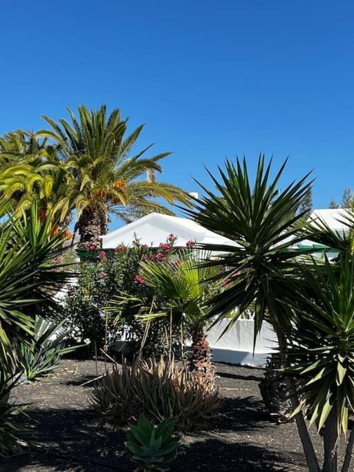 Lovely Casita Jade プラヤ・ブランカ エクステリア 写真