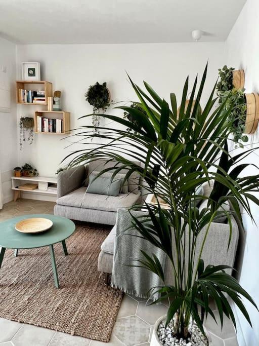 Lovely Casita Jade プラヤ・ブランカ エクステリア 写真
