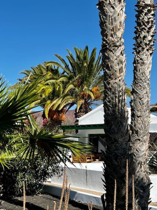 Lovely Casita Jade プラヤ・ブランカ エクステリア 写真